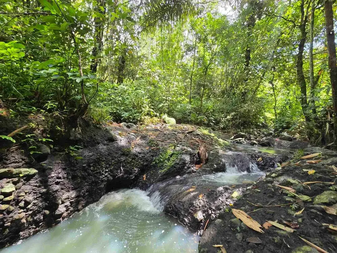 Dijual tanah murah los sungai air jernih di bali - Image 1 of 10