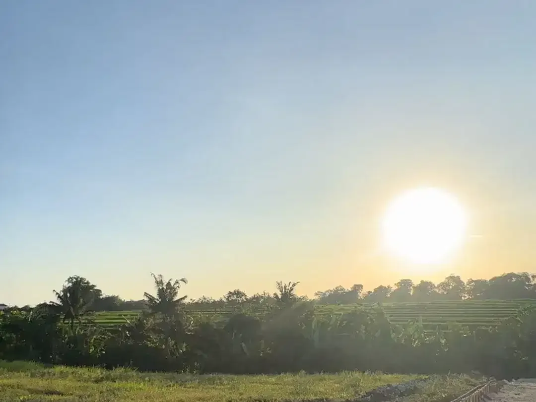 10 Menitan Canggu Tanah Dijual View Sawah, Sunset, Sunrice, Mountain - Image 7 of 10