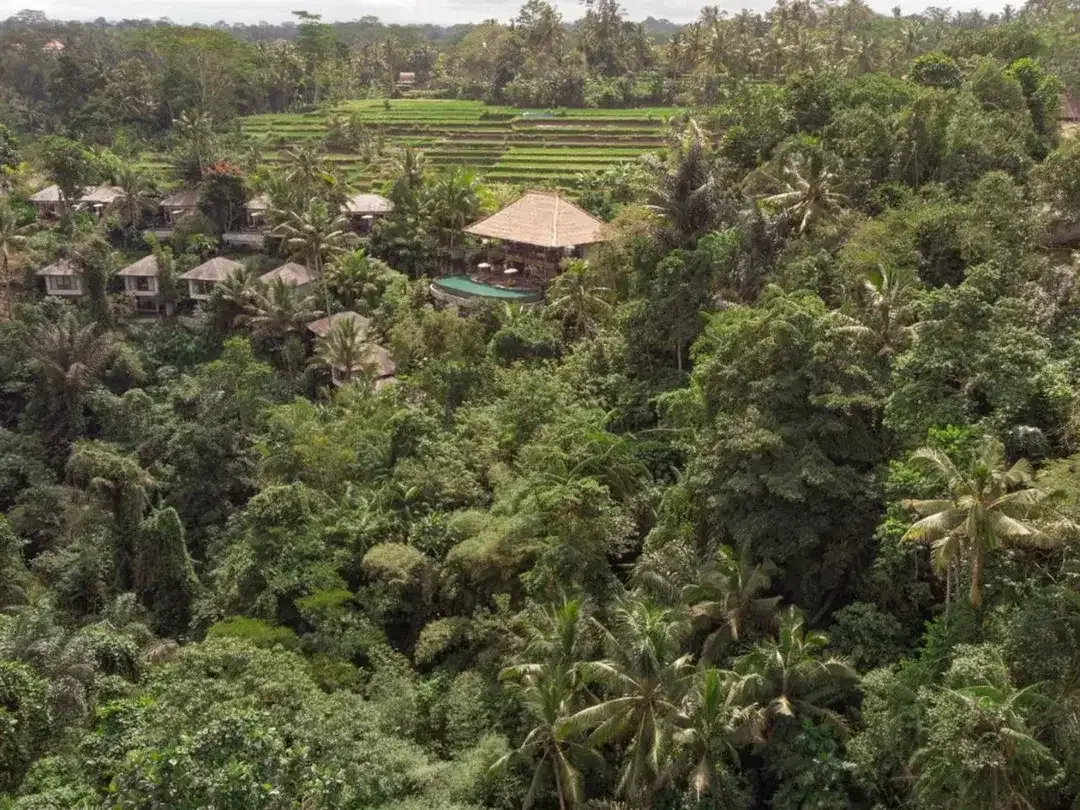 12,619 sq m of Freehold Land with Stunning River and Valley Views Located 7 Minutes from Ubud Palace - Image 4 of 6