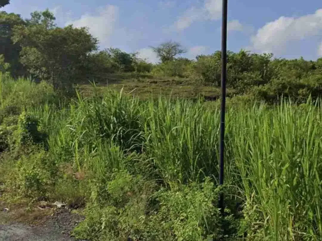 DIJUAL TANAH LOKASI DEKAT KAMPUS UNUD DAN PERUM TAMAN GRIYA JIMBARAN - Image 2 of 4