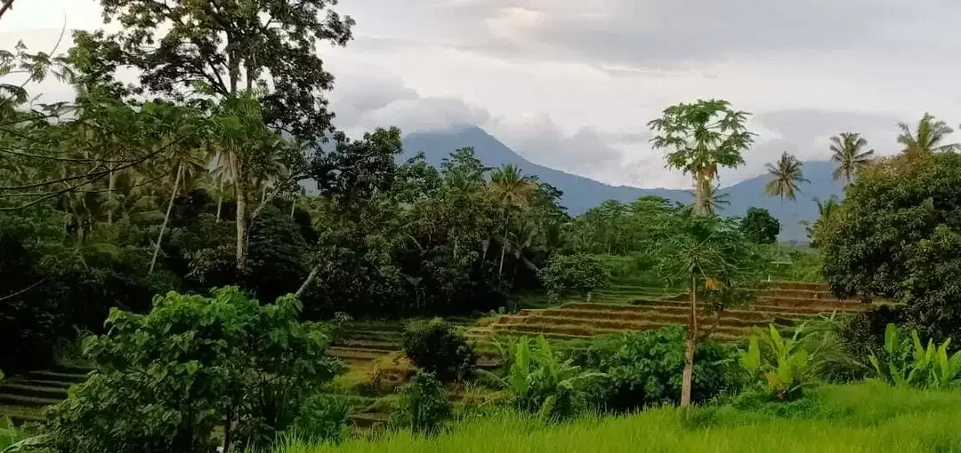 BUC TANAH VIEW GUNUNG, SAWAH DAN SUNGAI TABANAN - Image 4 of 10