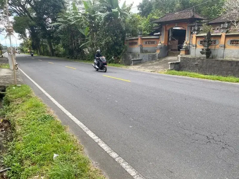 dijual Tanah Strategis jalan utama Mengwi Badung cocok Usaha - Image 3 of 5