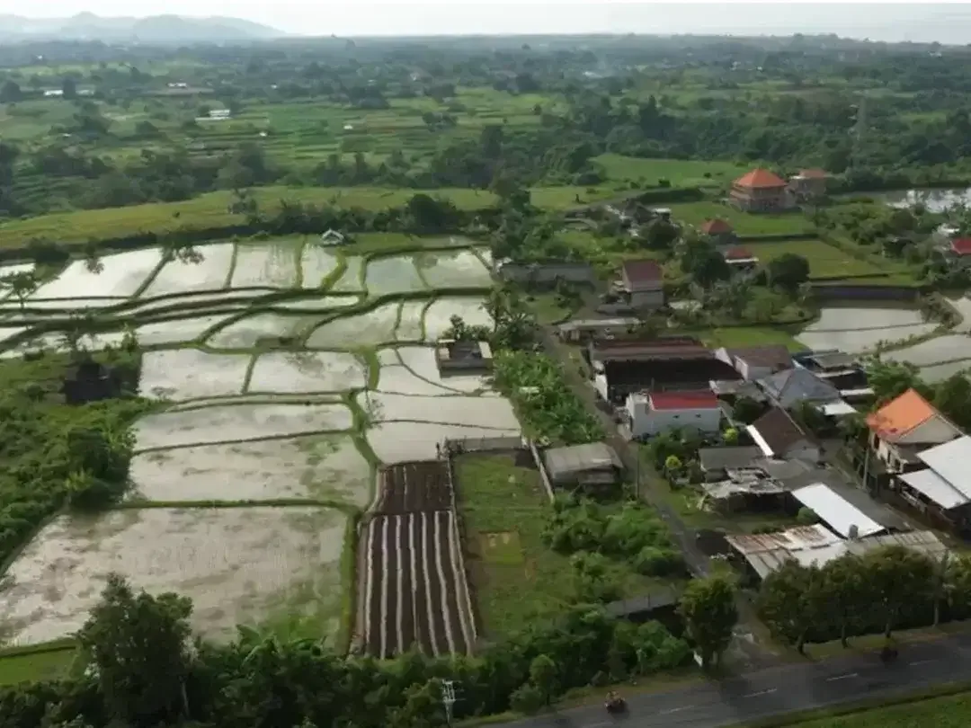 LAND WITH RICEFIELD VIEW IN GIANYAR - Image 2 of 5