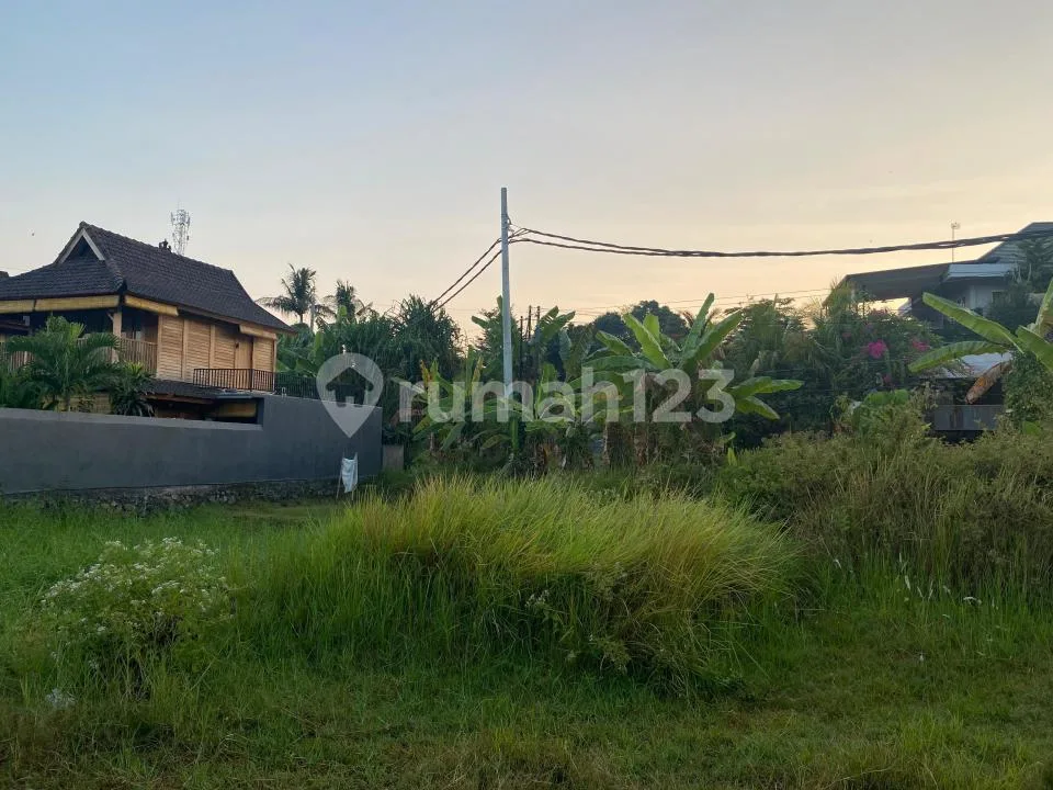 Strategic 370 MÂ² Freehold Land For Sale In Lovina - Image 3 of 4