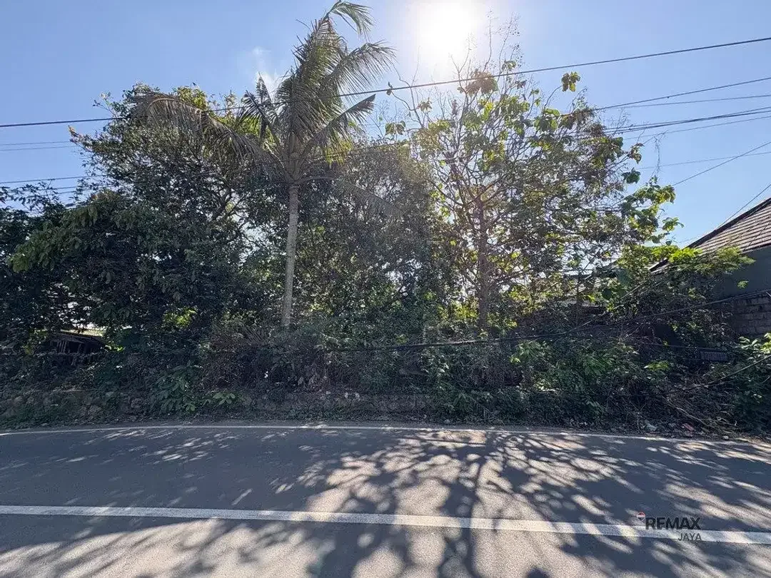 Tanah 9,8 Are Lokasi Premium Dijual di Pecatu, Badung Area - Image 1 of 5