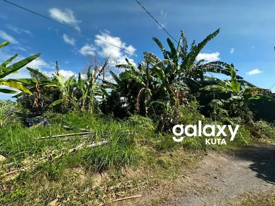 DIJUAL TANAH VIEW SAWAH DEKAT PANTAI KERAMAS DI AURA PERING GIANYAR - Image 1 of 6