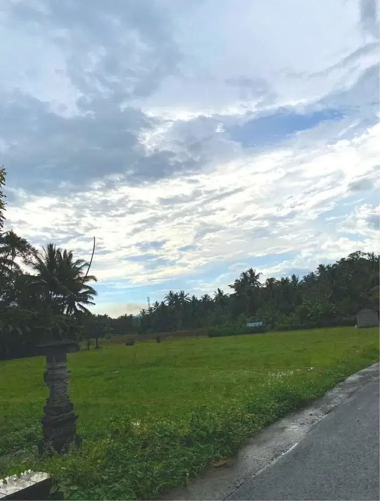 DIJUAL TANAH SAWAH LOS SUNGAI TABANAN - Image 3 of 9