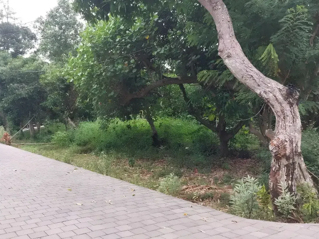 [For Sale] 2 are Tanah di Pecatu Zona Kuning Siap Bangun - Image 7 of 10