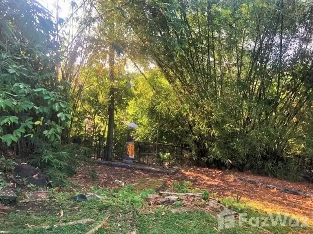 Land for sale in Pererenan, Bali - Image 4 of 10