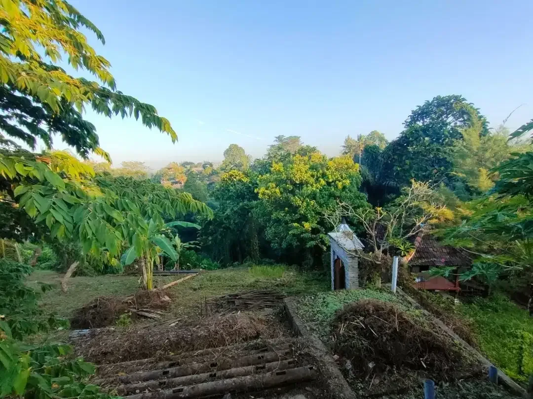TANAH LOS SUNGAI JUNGLE VIEW DEKAT GREEN SCHOOL ARAH UBUD BALI - Image 9 of 10