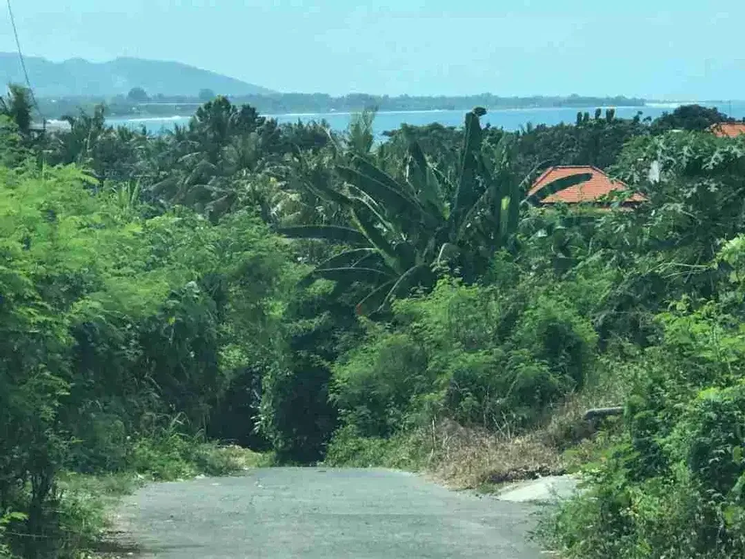 Termurah tanah di by pass ida bagus mantra samping taman safari bali - Image 5 of 8