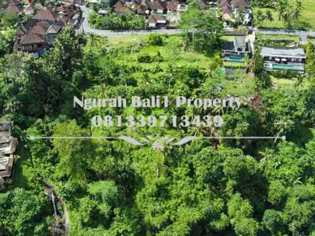 Over Kontrak  Luas Tanah 69,38 Are View Jungle dan Tebing di Ubud - Image 5 of 7