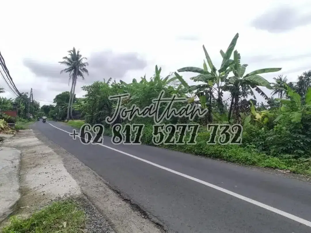 Dijual Tanah Komersil Pinggir Jalan Utama Pantai Kedungu Tabanan Bali - LSADT - Image 3 of 9