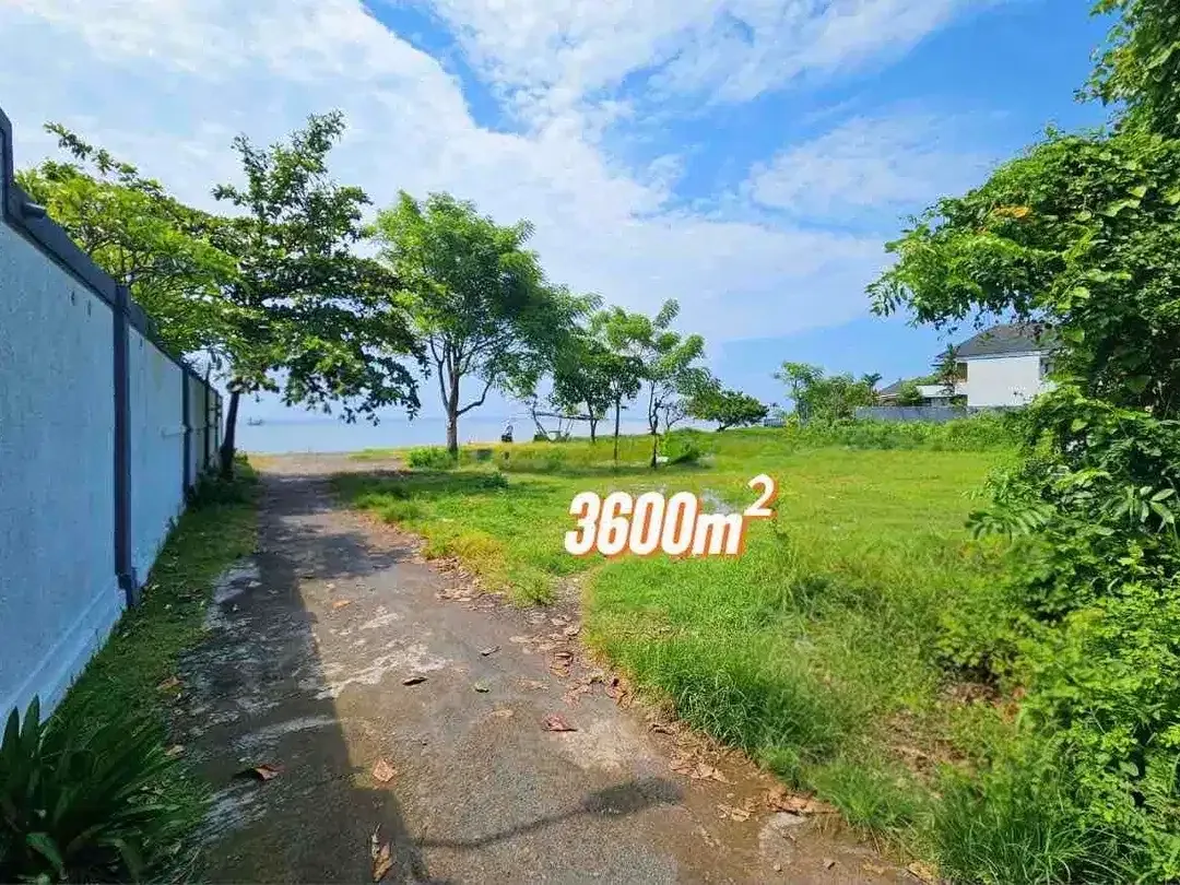 FOR SALE LAND 36 M2 BEACHFRONT LOVINA, BALI - Image 6 of 9