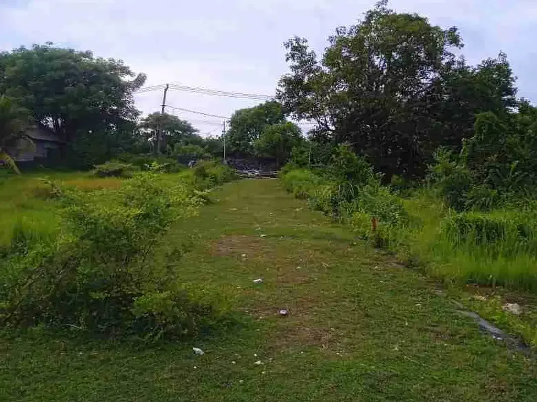 tanah plot Kecil 550m² IDR 950 jt/are Kawasan pantai Balangan Jimbaran Kuta Selatan Badung Bali - Image 7 of 7