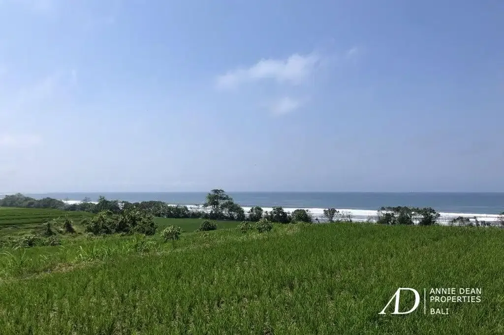 FREEHOLD BEACHFRONT LAND IN PEKUTATAN (3,000 M2) IN TOURISM ZONE - Image 5 of 10