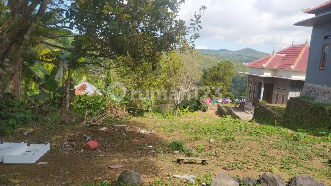 Tanah Dijual di Wanagiri, Bali - Image 2 of 4