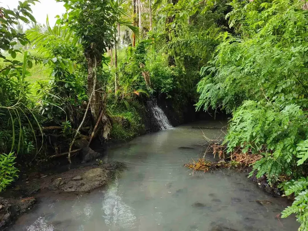 di jual tanah strategis dekat pantai zona pink Los sungai view sawah di tabanan bali - Image 2 of 9