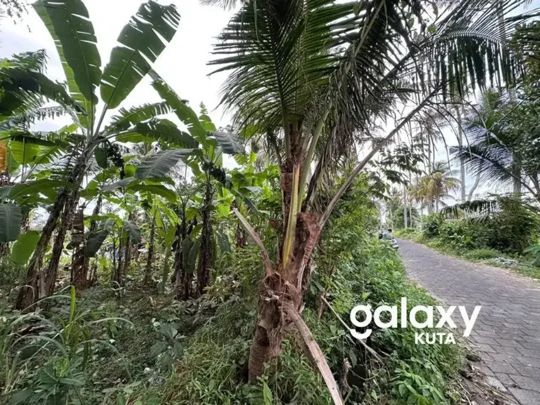 DIJUAL TANAH VIEW SAWAH DEKAT RS KASIH IBU DI TOJAN BLAHBATUH - Image 7 of 10