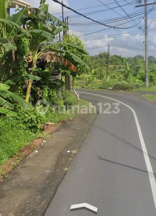 Tanah Jalan Utama Denbantas Tabanan #Tj0509rl - Image 2 of 4