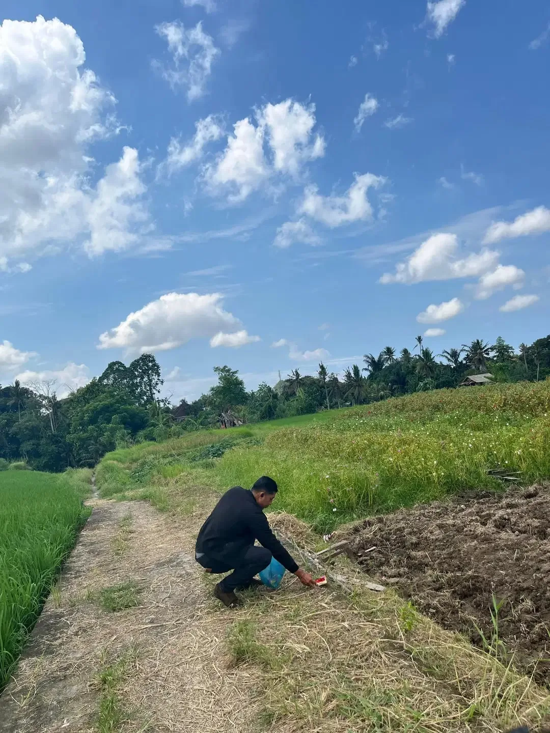 Dijual Tanah Ubud 350 m2 sangat strategis View Sawah Aktif - Image 2 of 10