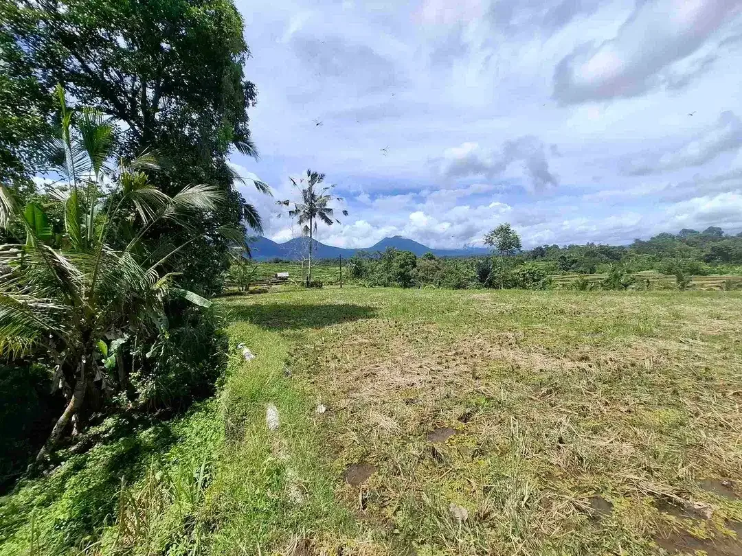 dijual tanah sawah view 5 gunung di bali - Image 7 of 10
