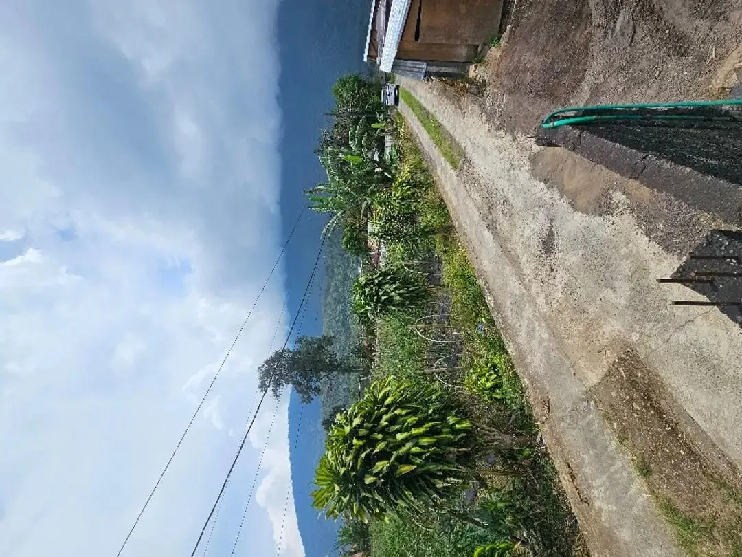 Tanah kebun zona residen cocok untuk investasi dan billa - Image 6 of 9