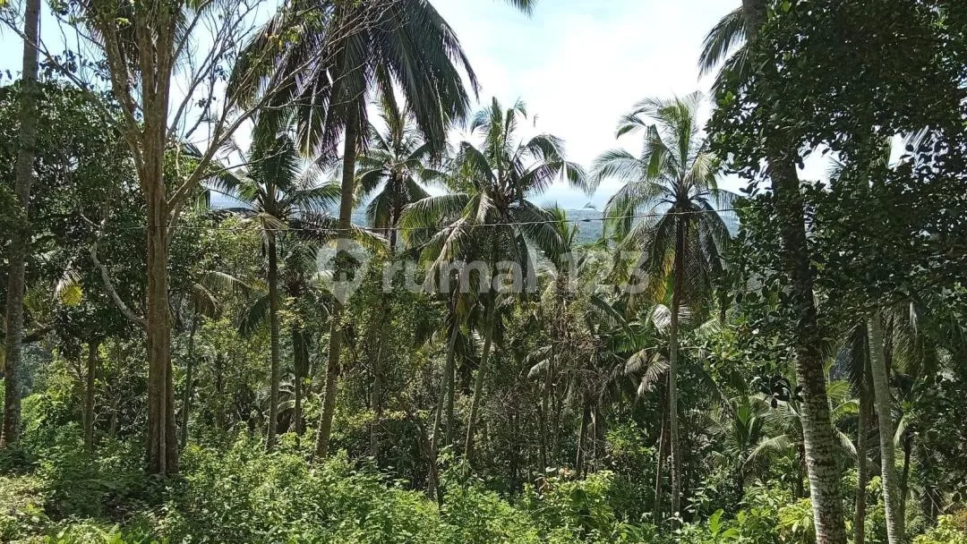 Tanah Premium Eksklusif dengan Izin Hotel di Tabanan Barat Triple View - Image 3 of 4