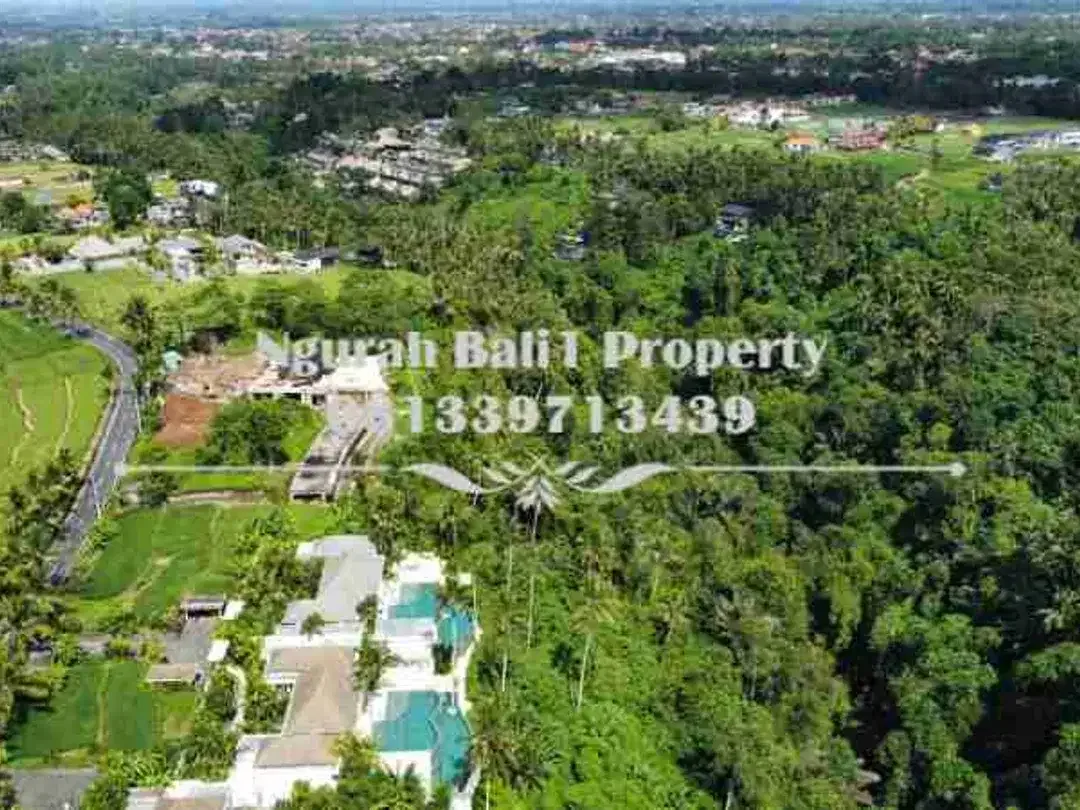 Over Kontrak  Luas Tanah 69,38 Are View Jungle dan Tebing di Ubud - Image 2 of 7