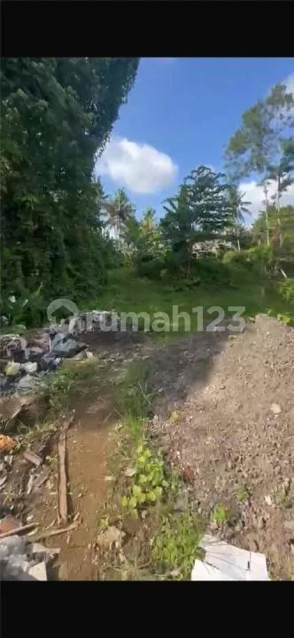 Tanah Murah View Sawah Abadi Mas Ubud Zona Kuning - Image 3 of 4