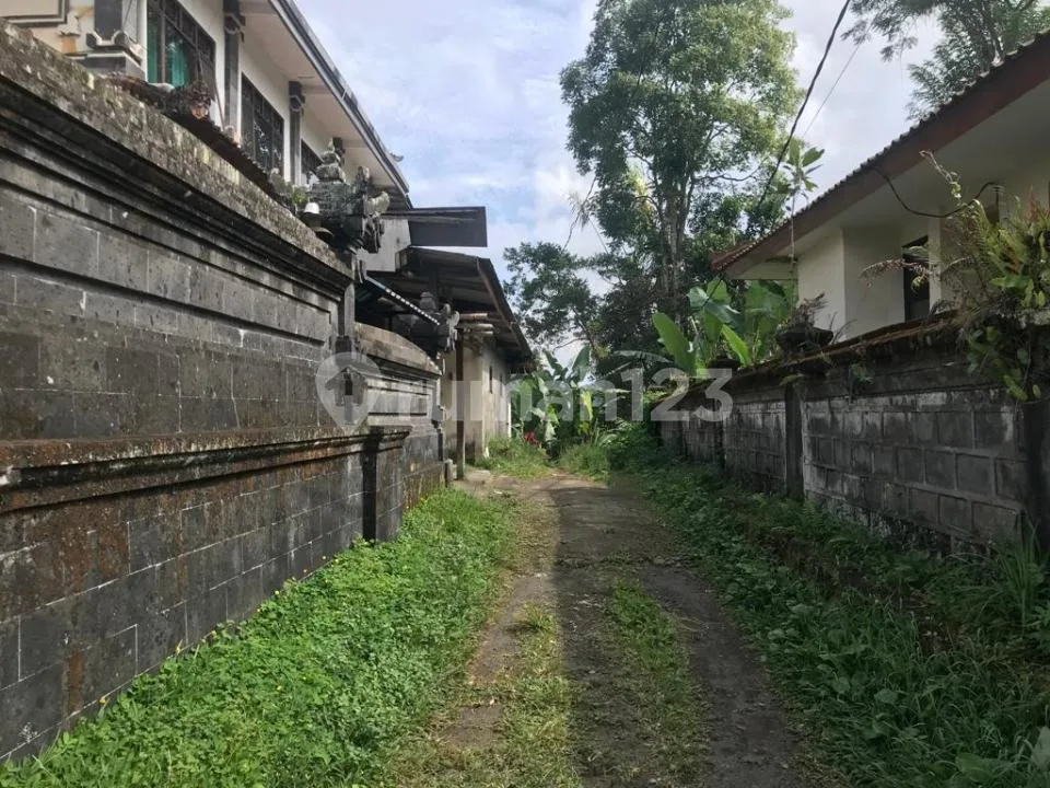 Dijual Murah Tanah 2,4 Ha Tepi Sungai di Payangan Gianyar Dekat Central Ubud Bali - Image 4 of 4