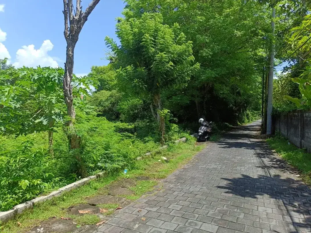 Land For Leasehold dengan Spot Langsung ke Pantai, Siap Bangun - Image 7 of 8