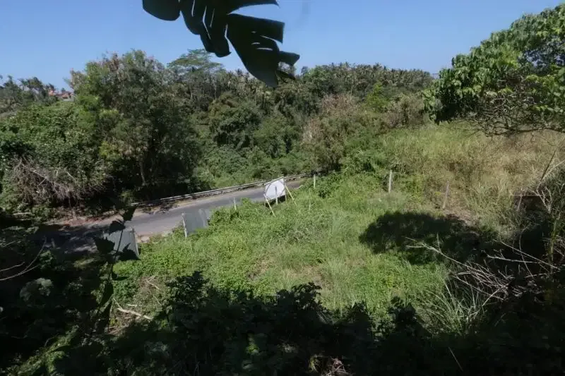 2875 m2 LAND FOR SALE IN KEMENUH UBUD BALI - Image 5 of 6
