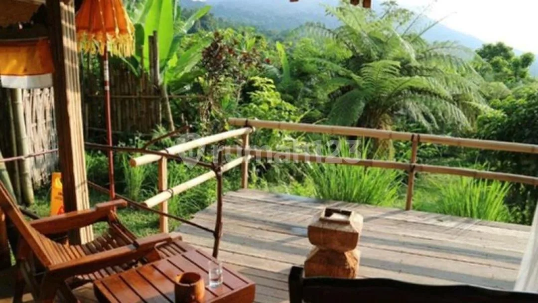 Glamping Jatiluwih Penebel Tabanan, Bali - Image 4 of 4
