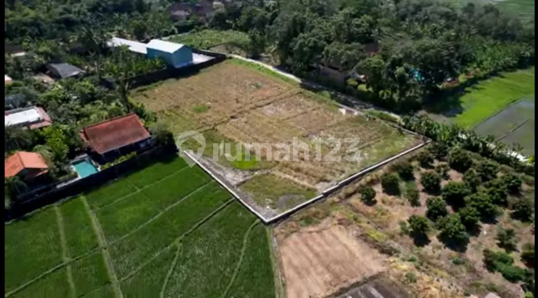 Di Jual Tanah Murah Dekat Pantai Pasut Tabanan Sangat Cocok untuk Komplex Villa - Image 1 of 4