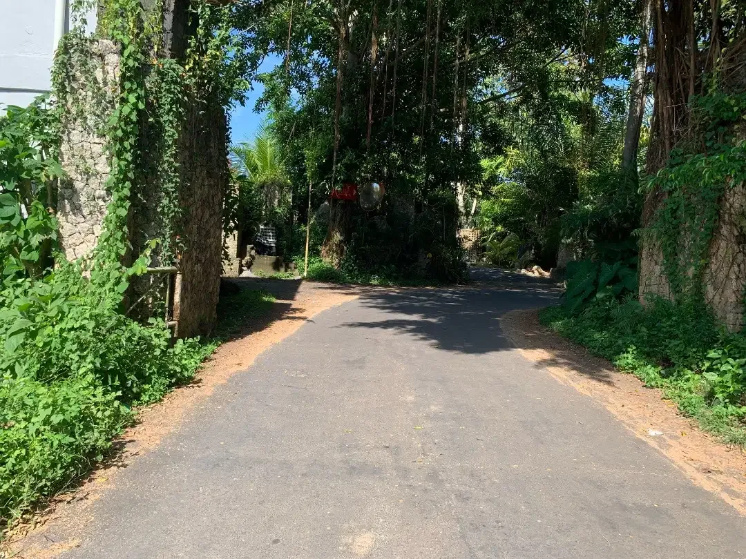 Disewakan tanah dengan luas 2 are di Uluwatu Jalan Pura Tangi - Image 2 of 5