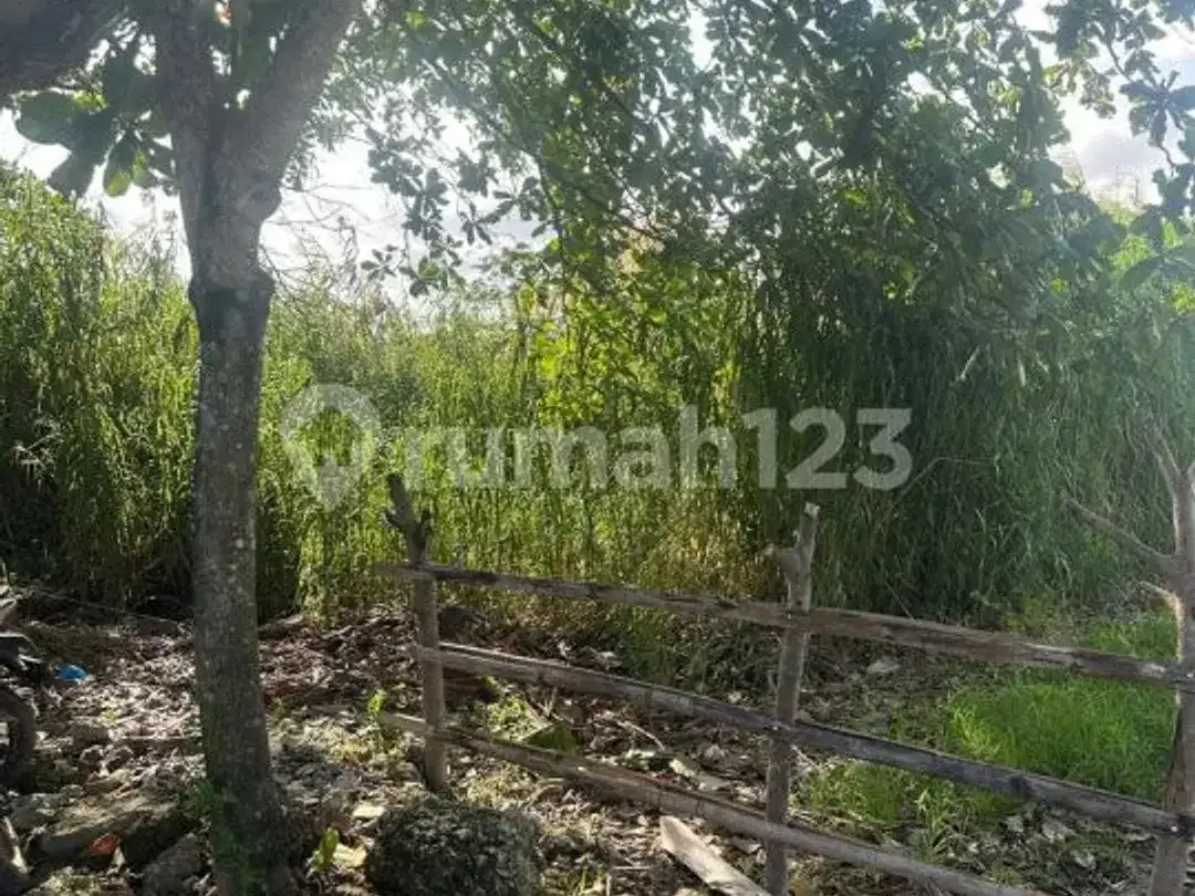 Dijual Tanah Premium Sangat Langka Dekat Pusat Wisata dan Pantai - Image 6 of 10