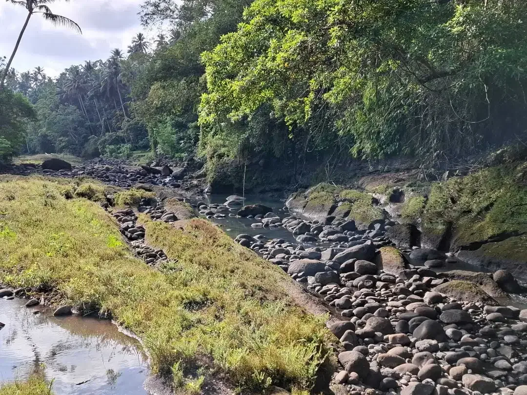 Dijual tanah los sungai dengan view sawah di tabanan bali - Image 1 of 10