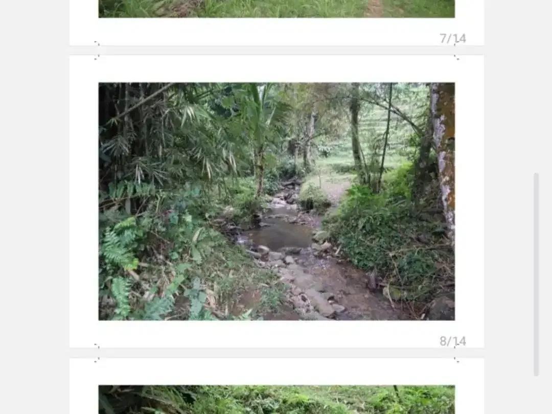 DIJUAL TANAH DENGAN MATA AIR PANAS - Image 3 of 3