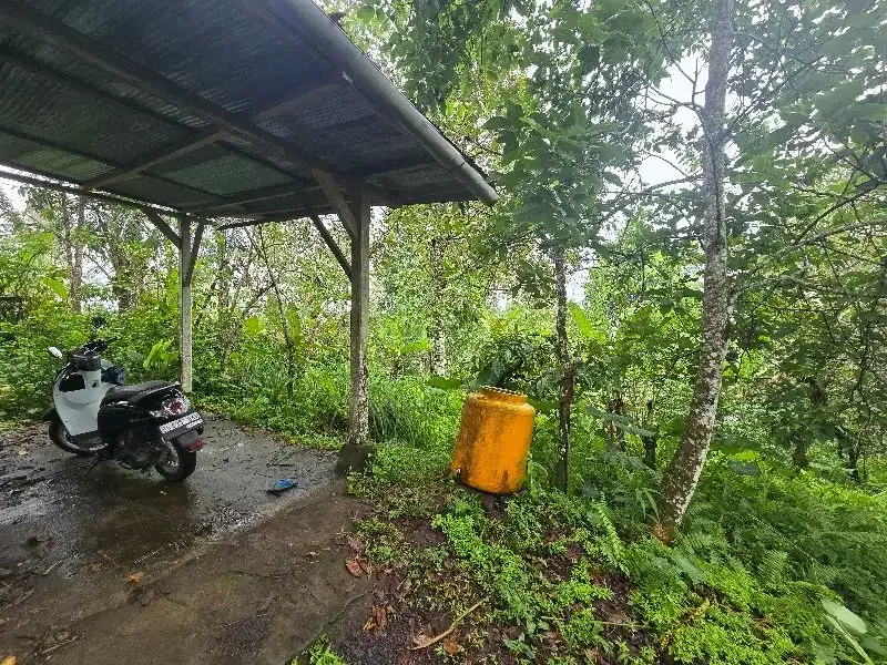 Dijual tanah kebun durian di tabanan bali - Image 6 of 8