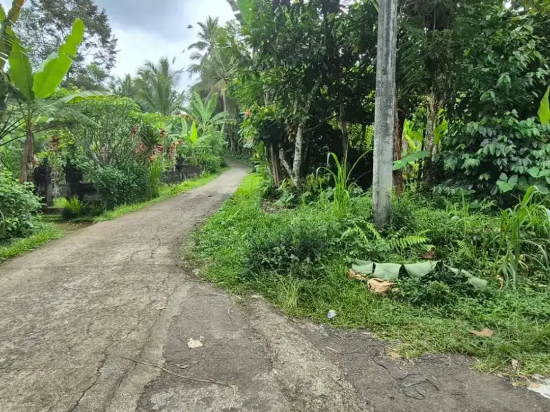 TANAH KOSONG DI BUAHAN KAJA PAYANGAN GIANYAR BALI - Image 10 of 10