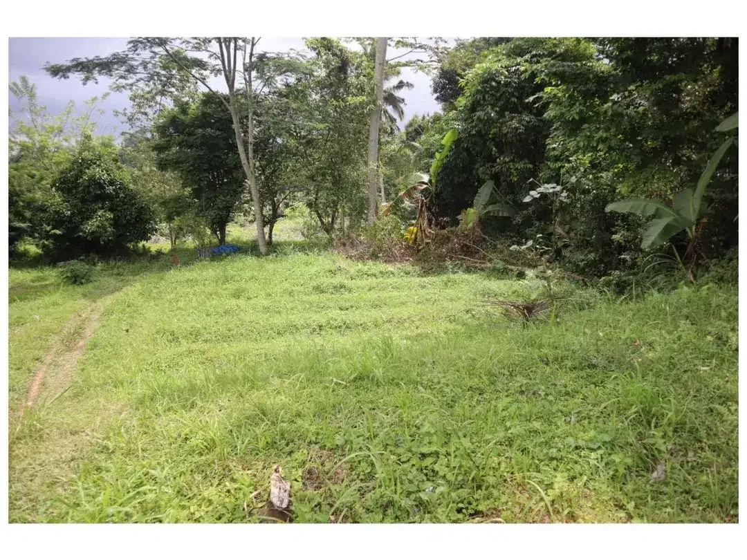 Dijual Tanah Strategis di Desa Apuan, Kecamatan Baturiti, Tabanan - Image 4 of 10