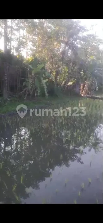 Dr Ijual Tanah dan Sawah Indah Dalung Bali - Image 3 of 4