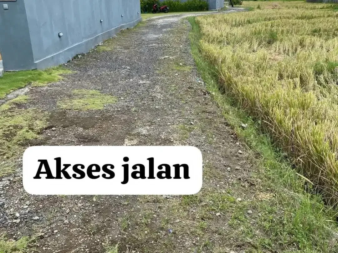 DI KONTRAKAN TANAH DEKAT PANTAI LOKASI PANTAI 5 PRERENAN - Image 3 of 5