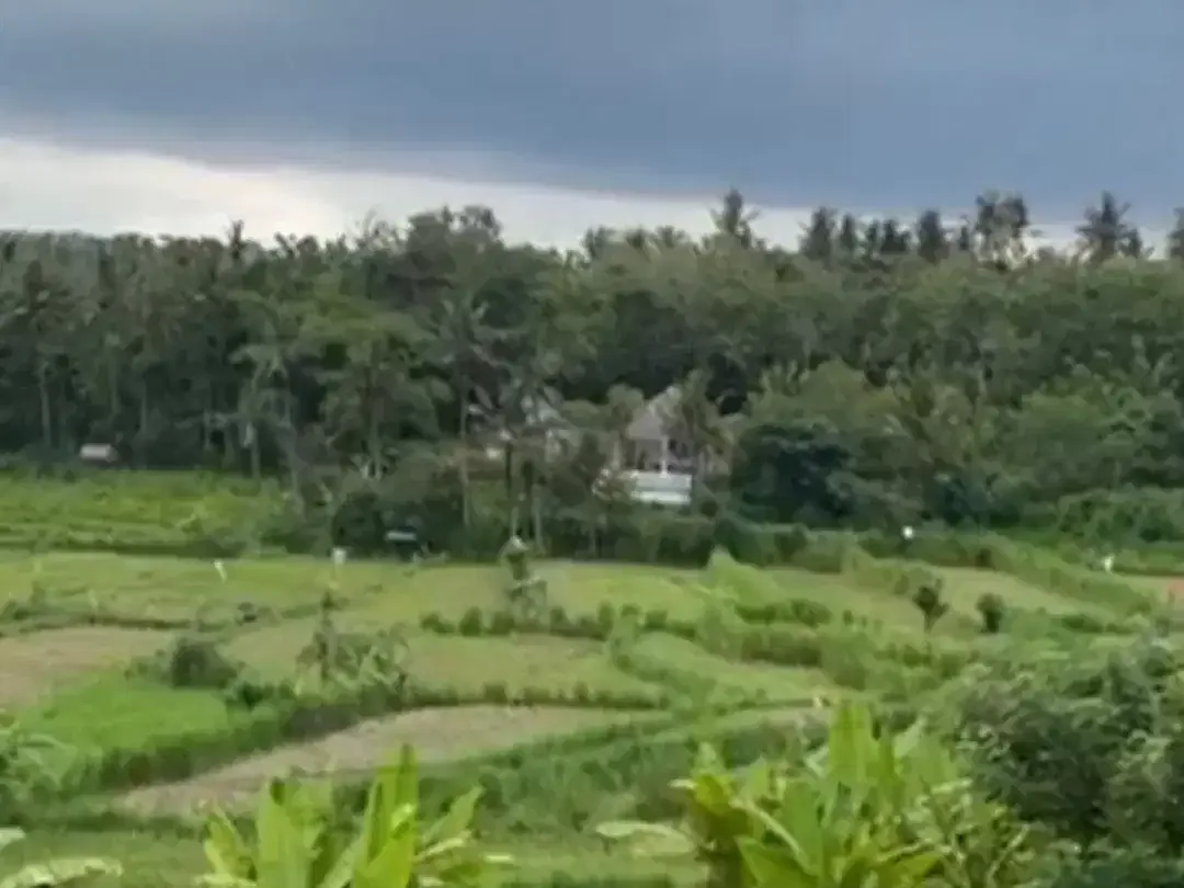 TANAH 14 ARE SHM DI TUMBU KARANGASEM - Image 5 of 6