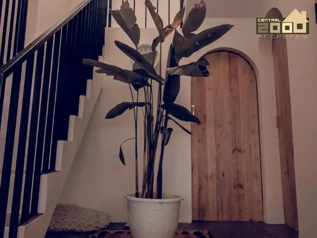 Luxury Villa For Sale – Walking Distance To The Beach - Image 5 of 10