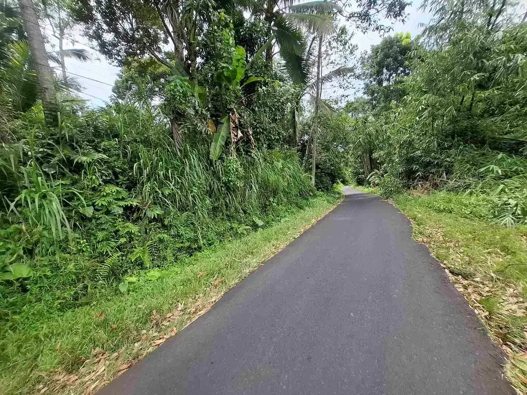 tanah view sawah dan gunung akses jalan aspal didaerah wisata angsri - Image 10 of 10