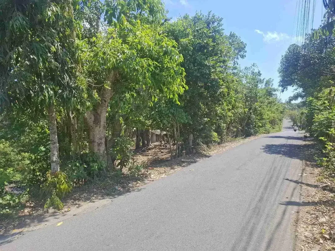 DIJUAL CEPAT TANAH DI UNGASAN DEKAT PEREMPATAN INDOMARET BALI CLIFF - Image 3 of 4