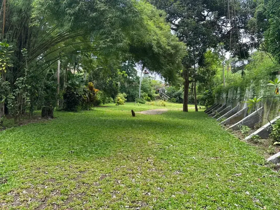 Tanah Istimewa di Kerobokan Badung Bali - Image 6 of 10