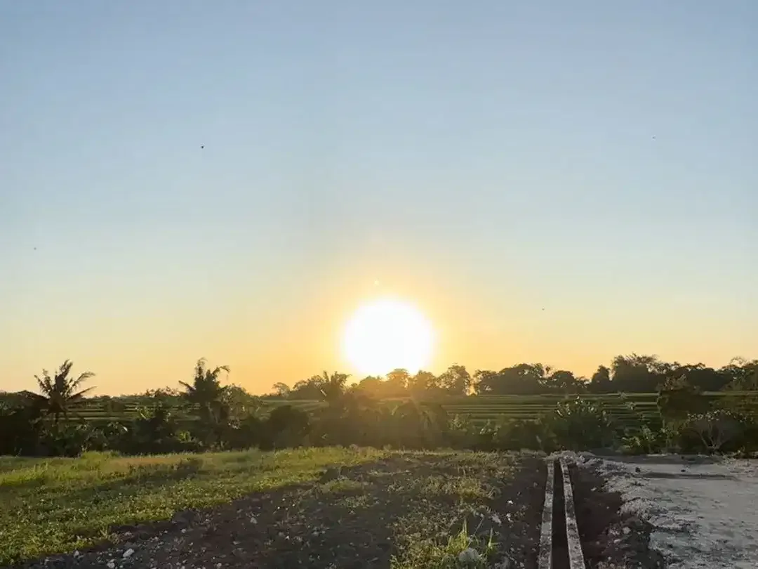 10 Menitan Canggu Tanah Dijual View Sawah, Sunset, Sunrice, Mountain - Image 5 of 10